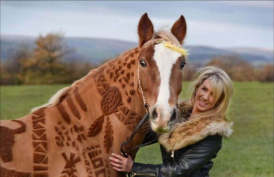 des chevaux comme toile pour dessiner des coupures