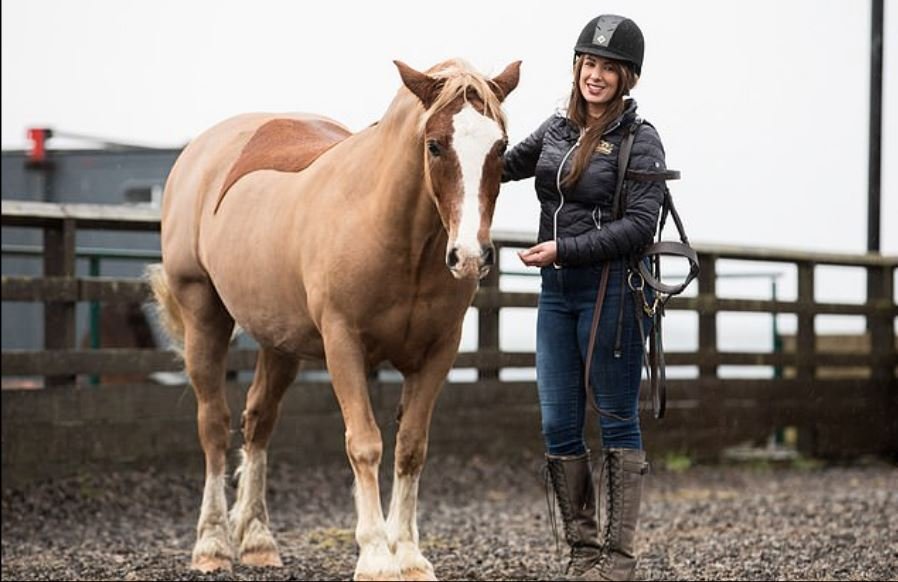 des chevaux comme toile pour dessiner des coupures