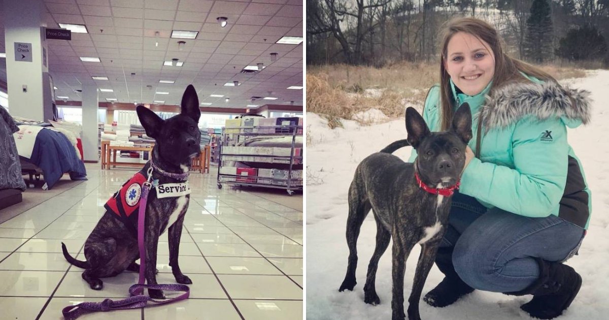 servicedog4.png?resize=412,275 - Woman Shared Strong Message After Kids Smacked Her Service Dog In Store