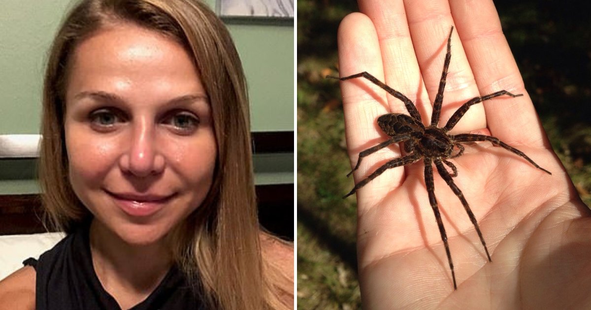 spider2.png?resize=412,275 - Une femme de 32 ans a failli mourir après qu'une araignée lui ait mordu la cheville alors qu'elle faisait du camping