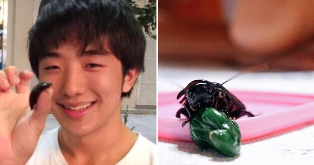 untitled design 58 1.png?resize=412,275 - Man Claimed The Cockroach He Was Dating For One Year Was His First Love