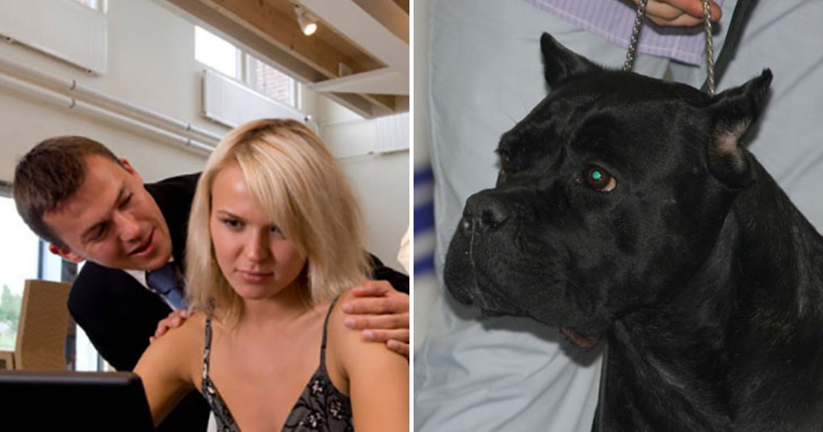 untitled design 67.png?resize=412,232 - Dog Turned Against His Owner To Save Woman From An Attack