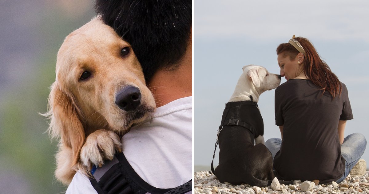 1200x630 recovered 1.jpg?resize=412,275 - Vet Reveals A Heart Breaking Truth – Dying Animals Feel More Scared If Left Alone In Their Last Moments And It's Very Painful