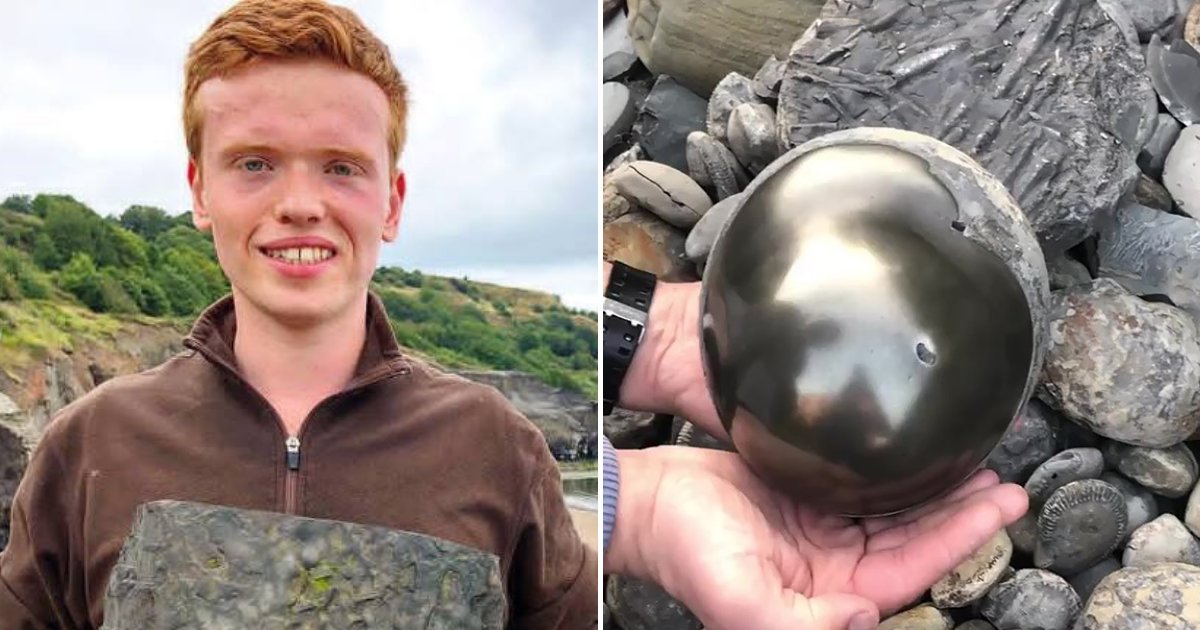 cannon5.png?fit=1024%2C538&ssl=1&strip=all - Student Found Golden Cannonball On Beach With 185 Million-Year-Old Fossil Inside