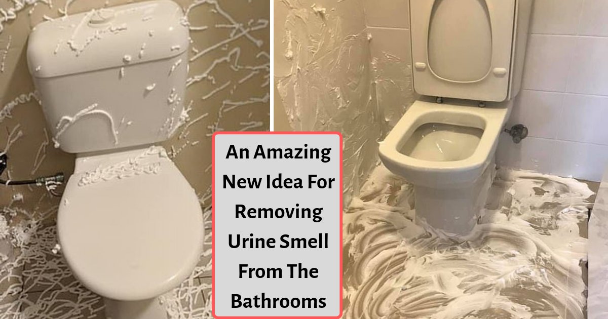 d2 13.png?resize=412,232 - Australian Mothers Are Lathering The Bathroom Floors With This To Get Rid of Unpleasant Smell