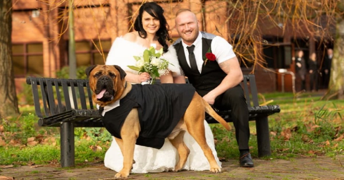 d3 13.png?resize=412,275 - Un couple avance la date de leur mariage pour que leur chien qui est en phase terminale puisse y assister