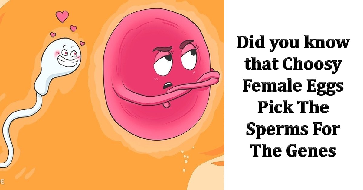 dfsfs.jpg?resize=412,232 - A New Research Revealed That Choosy Female Eggs Pick The Sperms For The Genes, Defying The Oldest Laws of Genetics