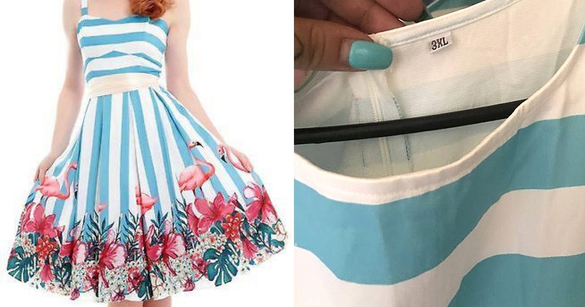 dress4.png?resize=412,275 - Une femme commande une robe sur internet et son colis ne contient pas vraiment ce qu'elle attendait !