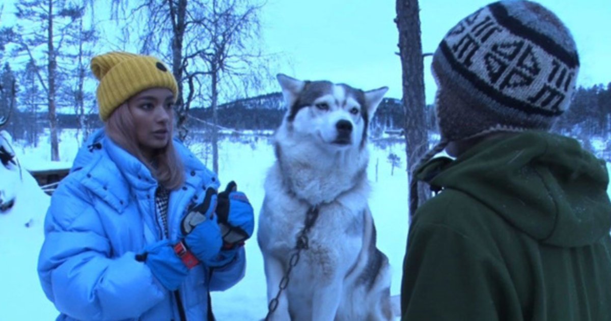 e696b0e5bbbae9a1b9e79bae 12.png?resize=412,232 - ローラが極寒のフィンランドへ、83頭の保護犬と暮らす女性に会うために…!!