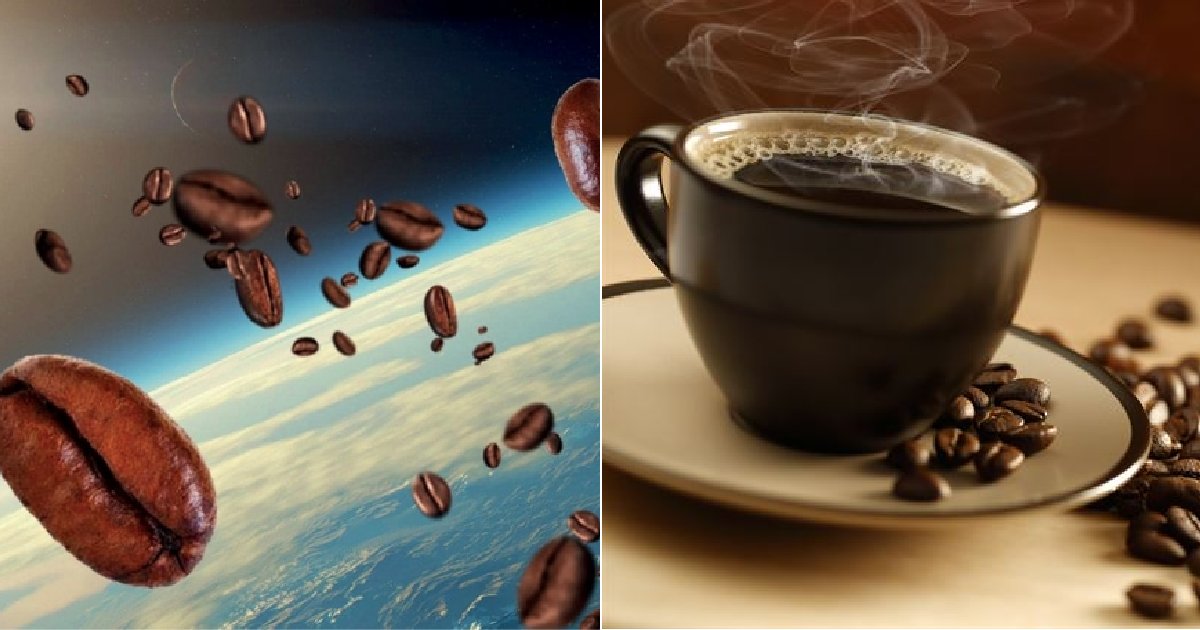 img 5c65439331006.png?resize=412,232 - '우주'에서 떨어뜨려 대기권 재진입 고열로 볶은 '커피'의 후덜덜한 가격