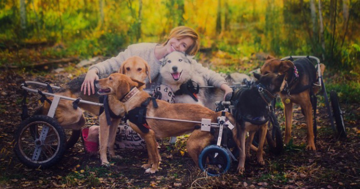 save them.png?resize=1200,630 - Famous Russian Photographer Gives Up Her Career To Live In A Forest With 100 Dogs In Need