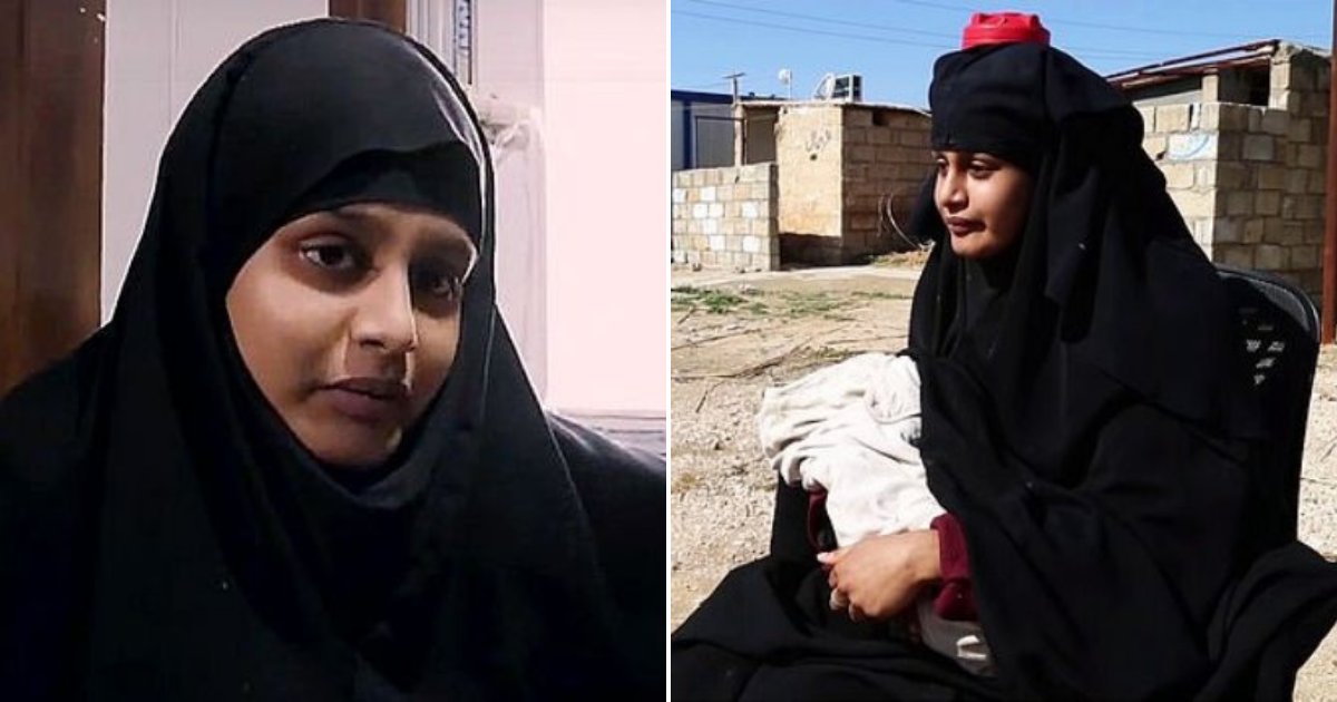 shamima6.png?resize=412,232 - 19-Year-Old Girl Who Left The Country And Joined Terrorist Organization Begged For Citizenship