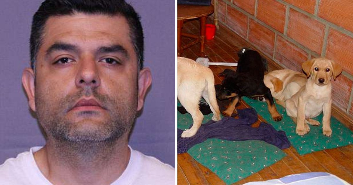 vet.png?resize=412,232 - Un vétérinaire est arrêté aux États-Unis pour trafic de drogue à l'aide de chiens vivants