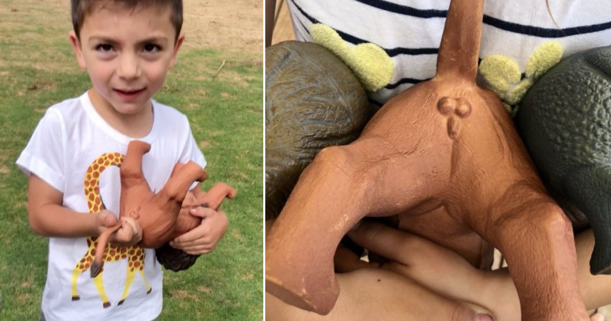 weird lion toy.png?resize=1200,630 - Mother Is Shocked After Seeing Detailed Genitals Depiction On Son's Lion Toy