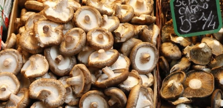 Image result for Two portions of mushrooms each week could 