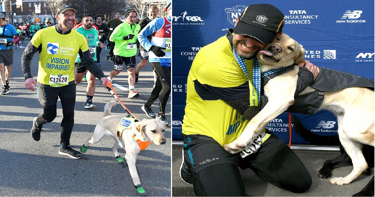 b5.png?resize=412,275 - Blind Runner Made History By Completing NYC Half Marathon With His Three Guide Dogs