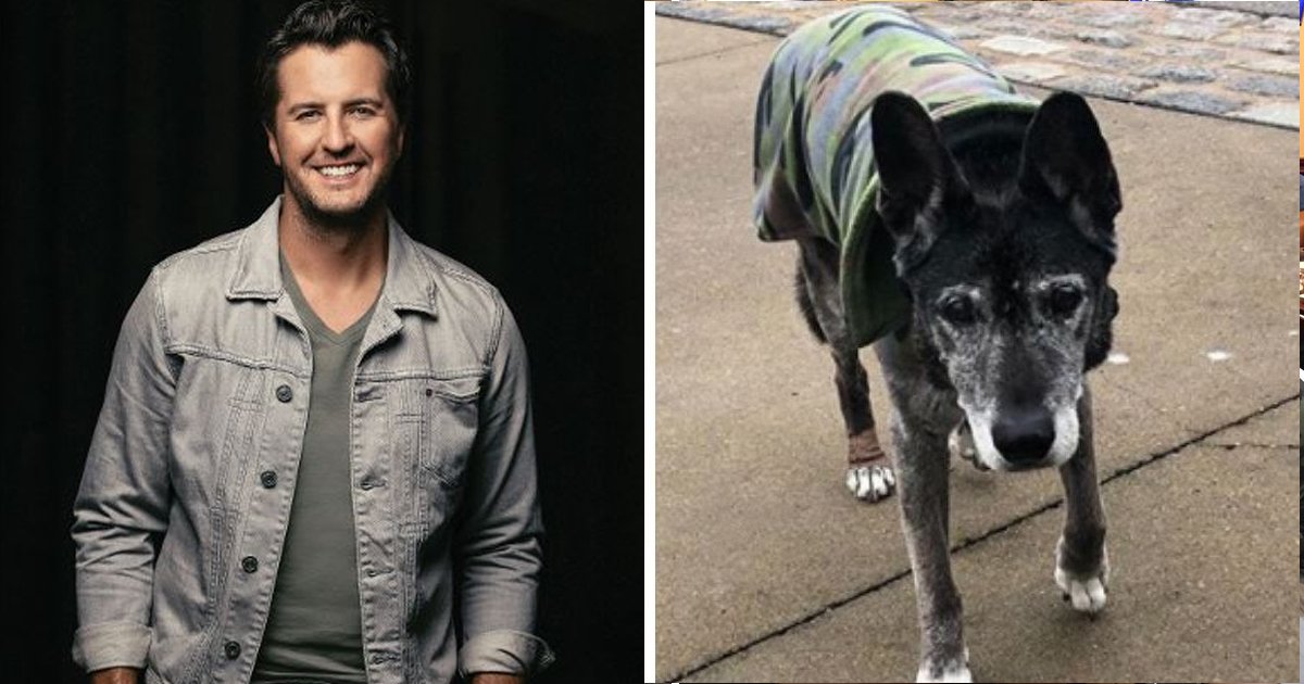 bbb.jpg?resize=412,232 - Luke Bryan Gives Shelter To 18-year-old Dog Surrendered for Causing Allergies