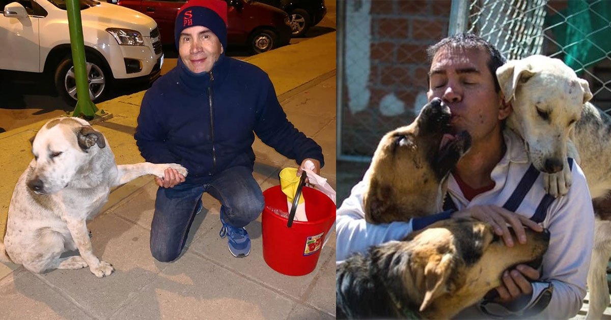 bolivian man quits his job to feed food to hungry dogs in his city every day.jpg?resize=412,232 - Bolivian Man Quits His Job To Feed Hungry Dogs In His City Every Day