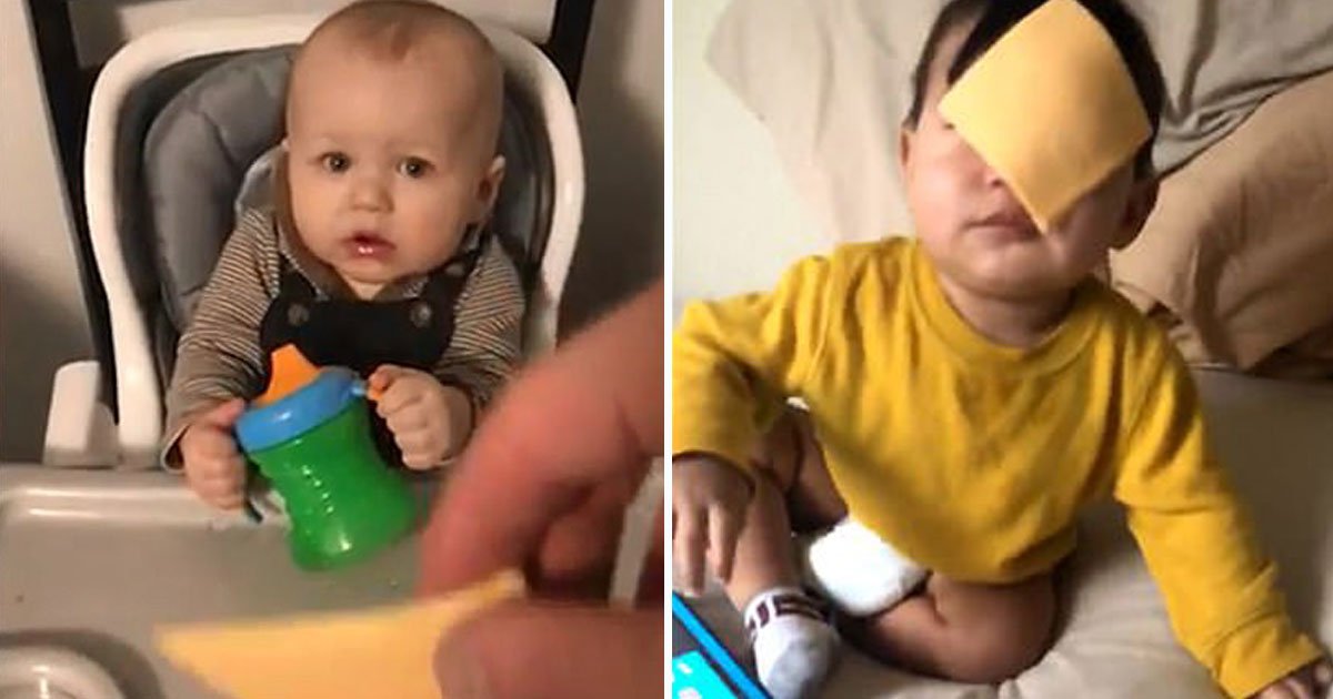 cheesed challenge.jpg?resize=412,232 - Parents Take Part In Internet Challenge Where They Throw Cheese At Their Children’s Faces