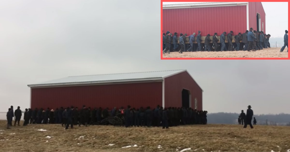 d2 10.png?resize=1200,630 - Plus de 250 hommes Amish lèvent une grange pour la déplacer à un nouvel endroit sur la ferme