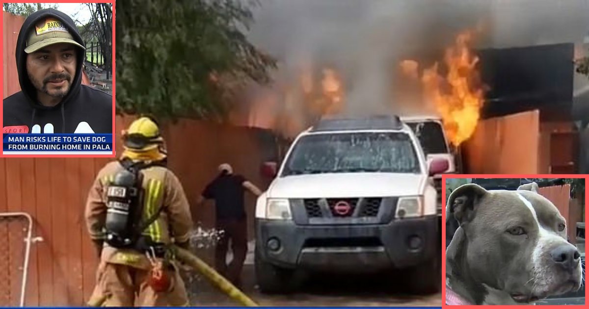 d3 8.png?resize=412,275 - Man Rescuing His Dog From Fire is Amazing: Here’s the Entire Story
