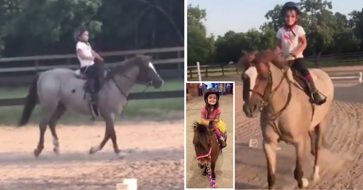 d5 16.png?resize=412,232 - A 5-Year-Old Baby Girl Soothes The White Horse in a Heartwarming Video