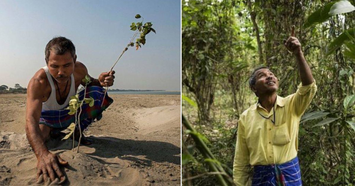 Man Succeeded In Turning A Desert Into A Giant Forest After 40 Years Of Effort - Small Joys