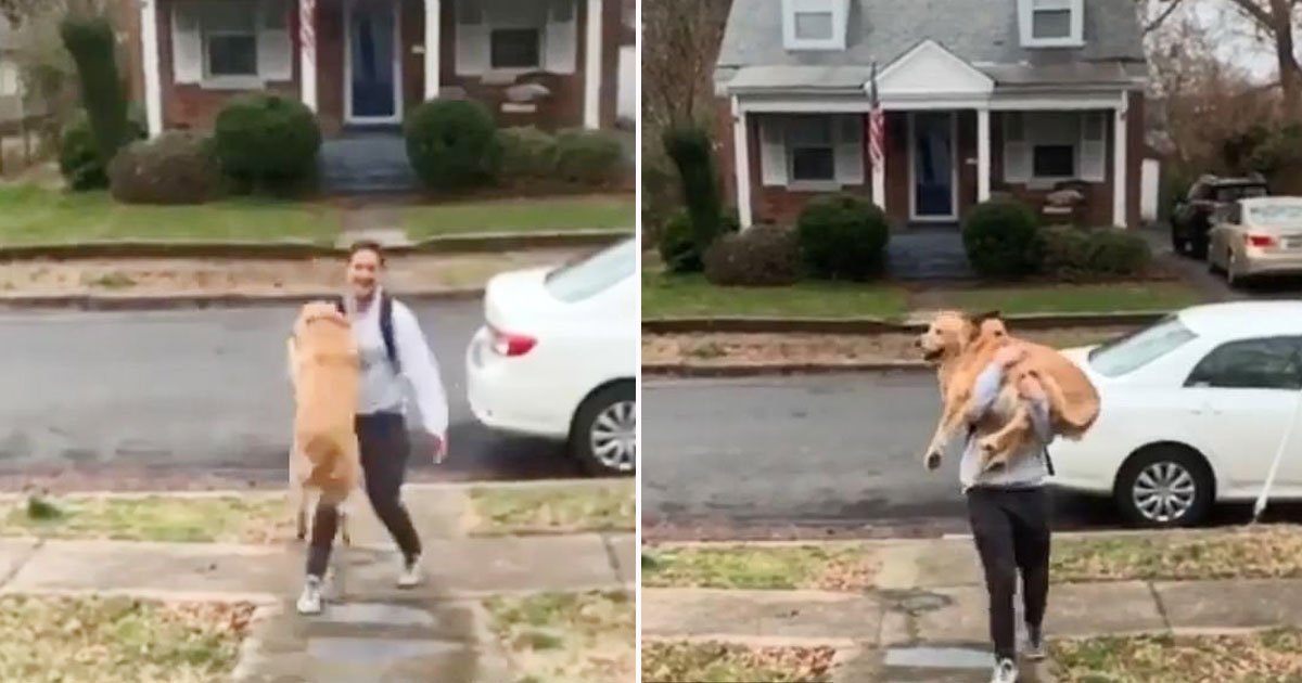 dog owner.jpg?resize=412,232 - Adorable Dog Couldn’t Contain His Excitement Seeing His Owner Who Came Back Home From Work