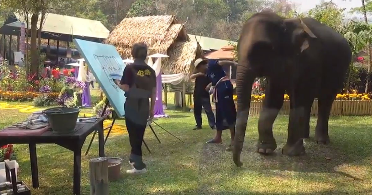 elephant chained national elephant day.jpg?resize=1200,630 - La vidéo troublante d'un éléphant enchaîné peignant son portrait lors de la journée nationale des éléphants