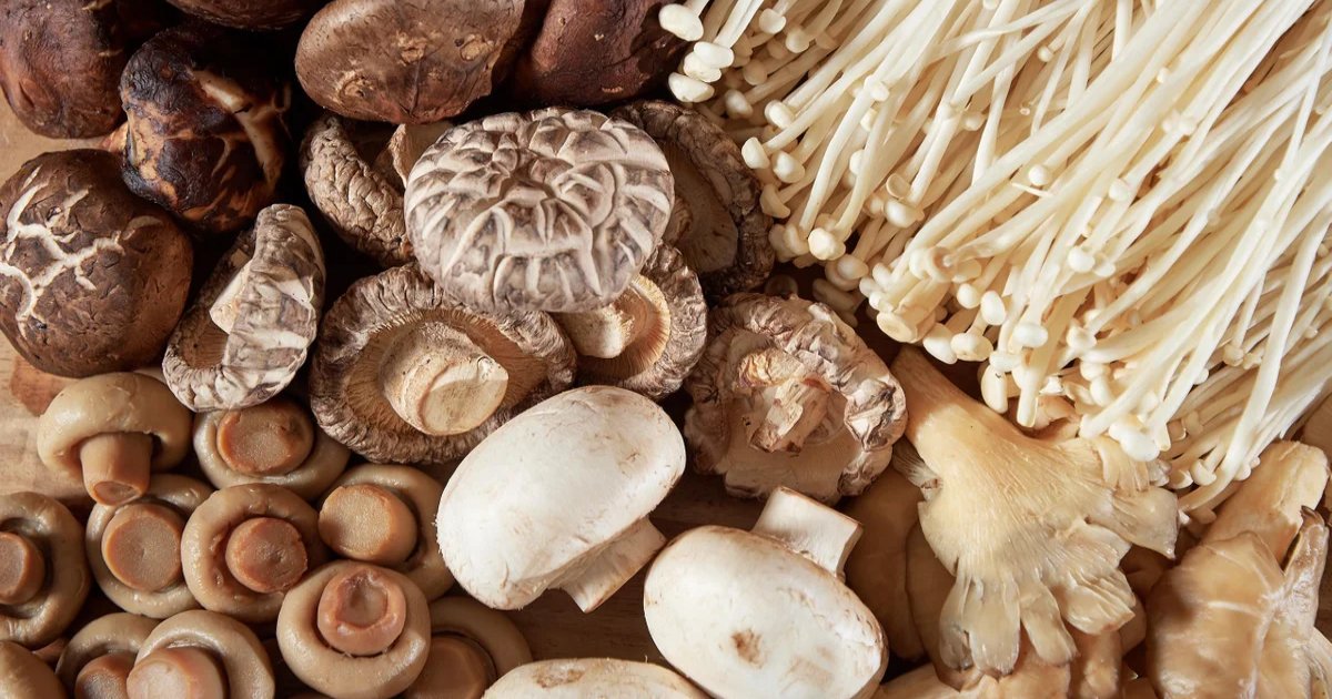 featured image 25.png?resize=1200,630 - Study Finds Eating Mushrooms Could Drastically Reduce Risk Of Dementia In Old Age