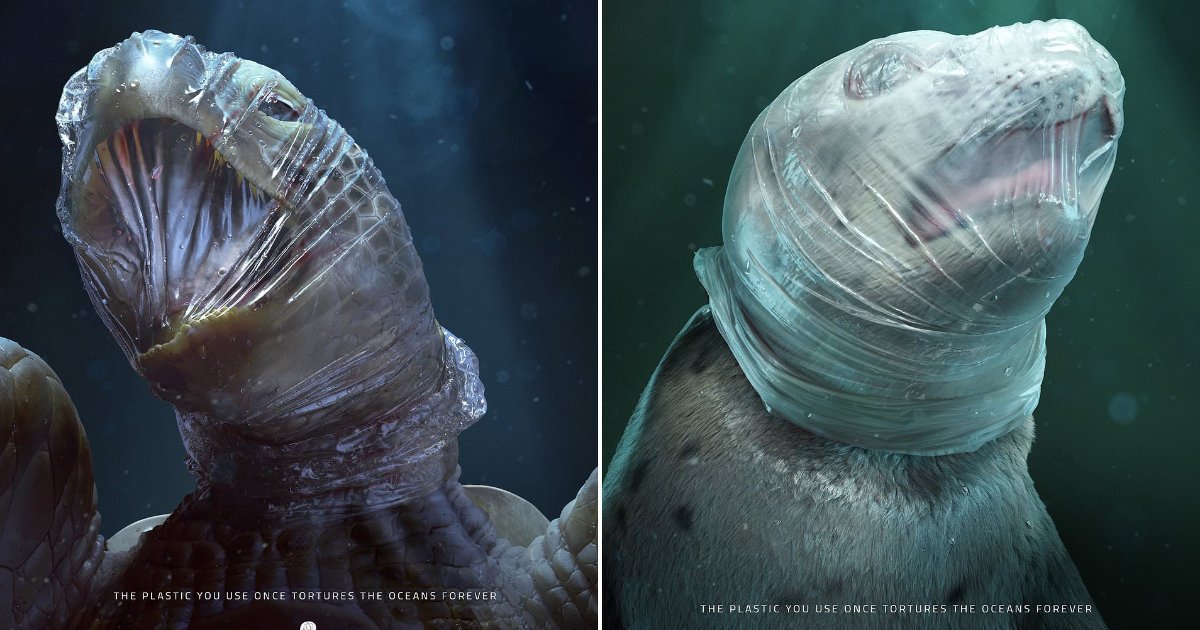 featured image 43.png?fit=1024%2C538&ssl=1&strip=all - Anti-Plastic Campaign Using Shocking Images Raises Questions