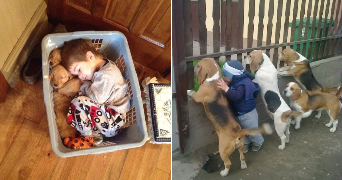 kids and pets.png?resize=412,232 - 15 Photos Showing Why Every Kid Should Own A Pet