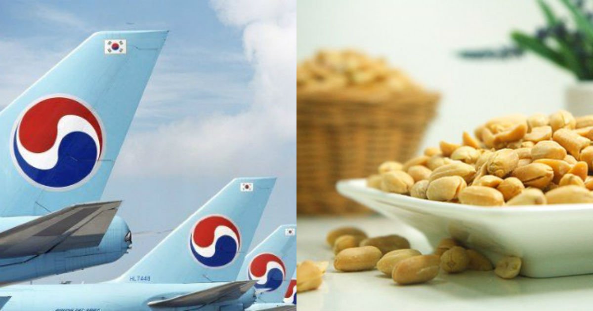 peanut 624601  340.jpg?resize=412,275 - '땅콩회항' 대한항공이 결국 '땅콩' 서비스를 중단했다