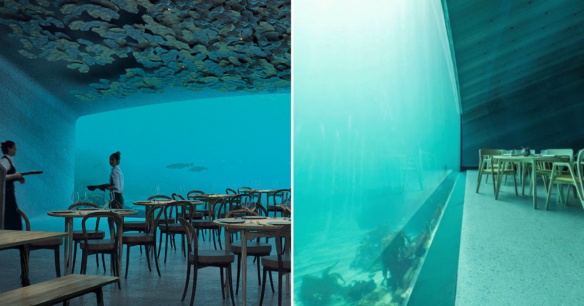 restaurant6.png?resize=1200,630 - Underwater Restaurant Has Been Completed And It Looks Out Of This World