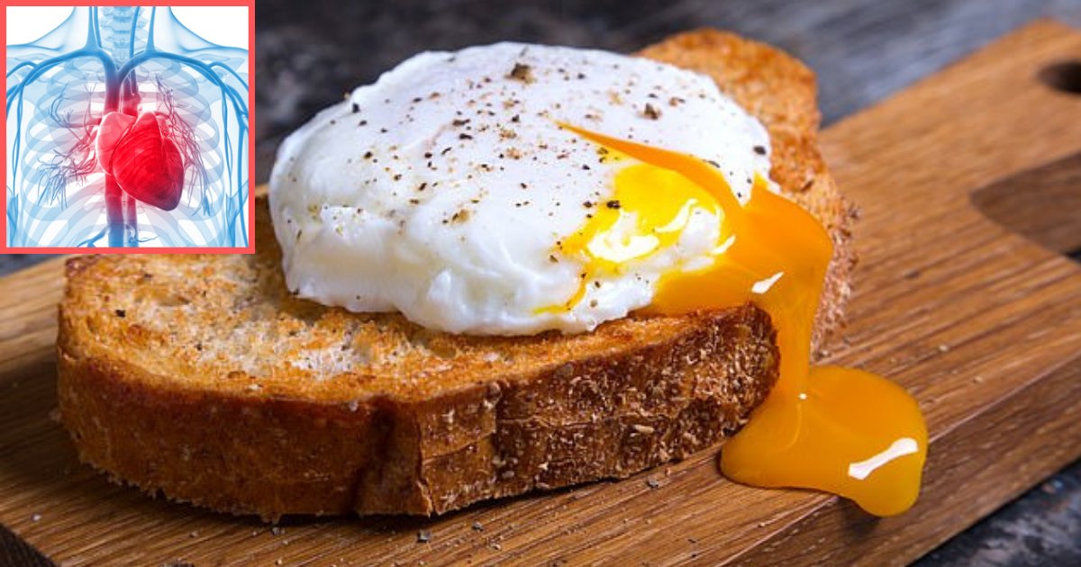 s4 11.png?resize=1200,630 - Une nouvelle étude révèle que les œufs pourraient augmenter votre risque d'avoir une crise cardiaque