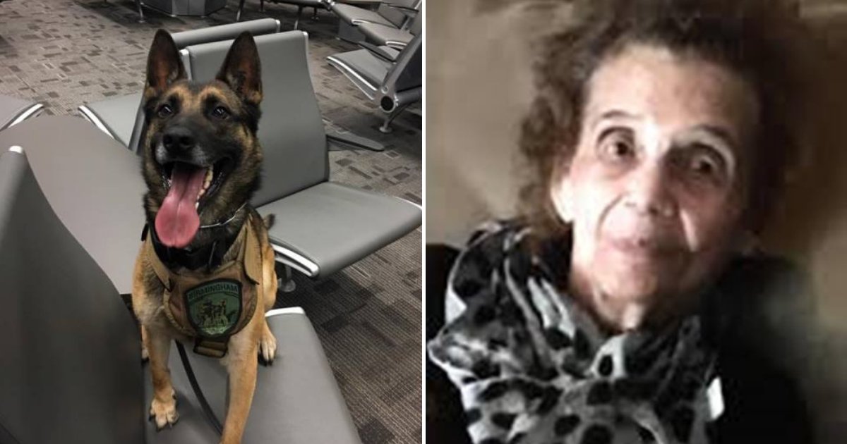 saby5.png?resize=412,275 - Hero Dog Finds 90-Year-Old Woman With Dementia Who Was Lost In The Woods