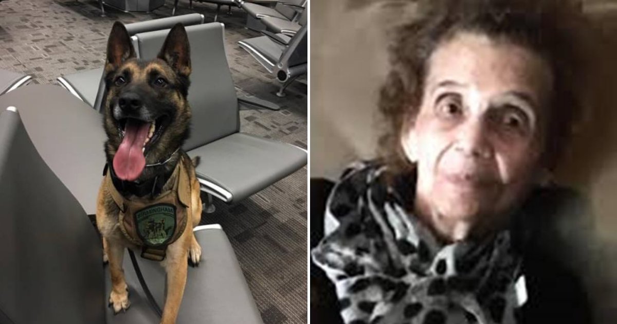 saby5.png?resize=412,232 - Hero Dog Finds 90-Year-Old Woman With Dementia Who Was Lost In The Woods