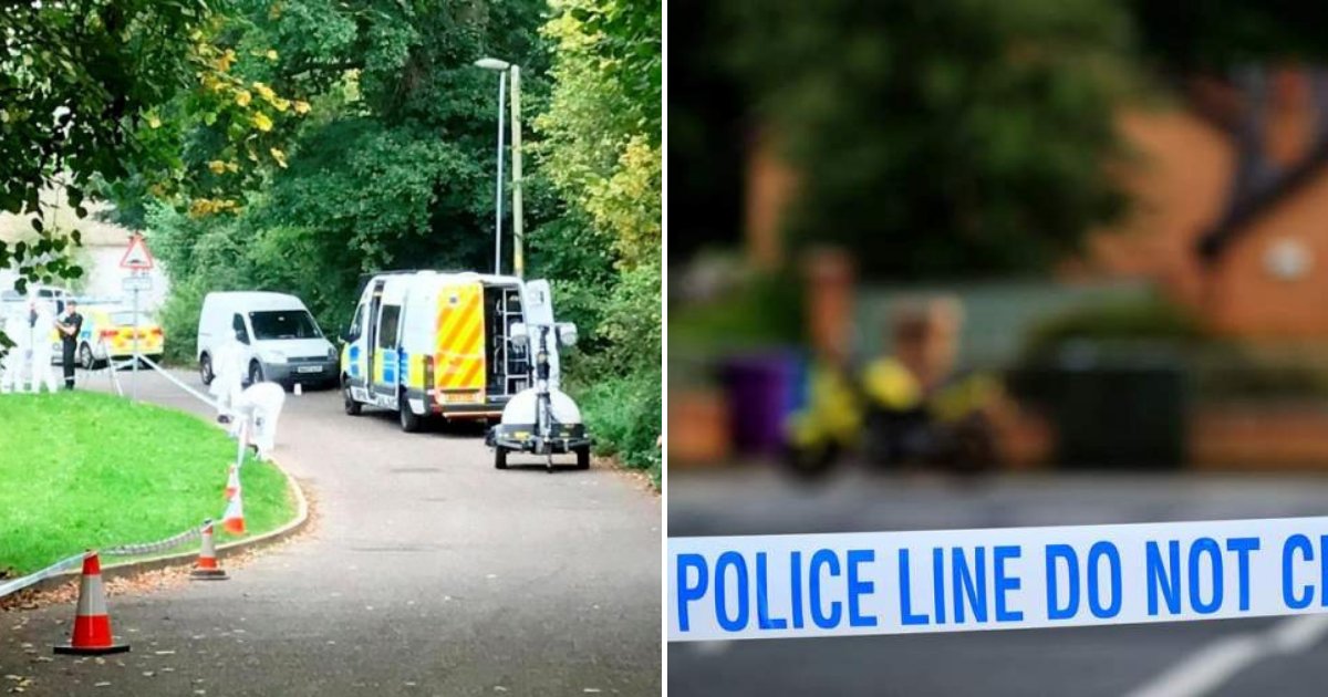 scene5.png?resize=412,275 - Here's How A 10-Year-Old Girl Pretended To Be Lifeless To Stop A Teen From Taking Advantage Of Her
