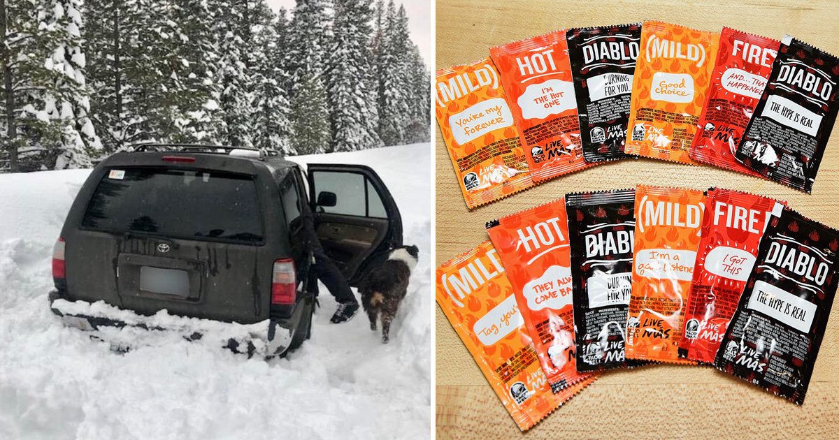 sdfsdss.jpg?resize=1200,630 - Man And His Puppy Survive 5 Days In Vehicle Stuck In Snow - Says Taco Bell Hot Sauce Saved His Life