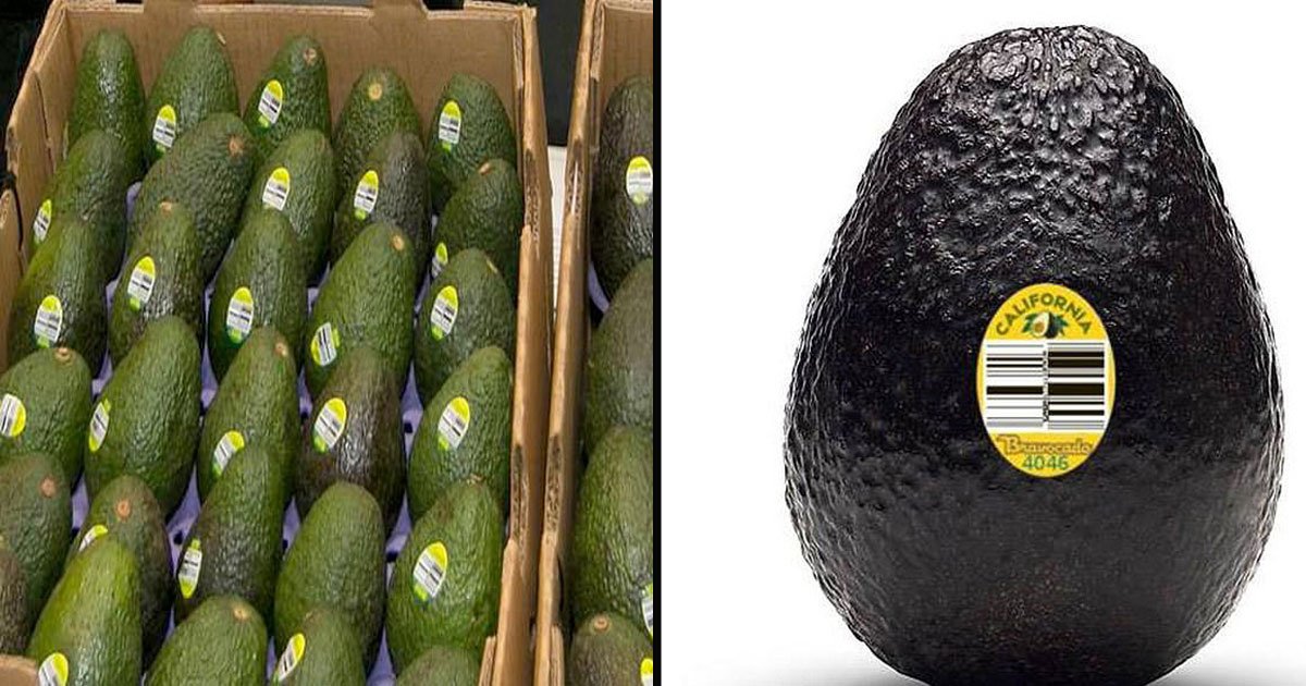 untitled 1 63.jpg?resize=412,232 - Avocados Are Being Recalled In 6 States Over Listeria Concerns