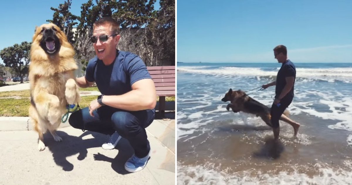 untitled design 16.png?resize=1200,630 - Un chien abandonné saute et "hurle" quand il voit l'océan pour la première fois
