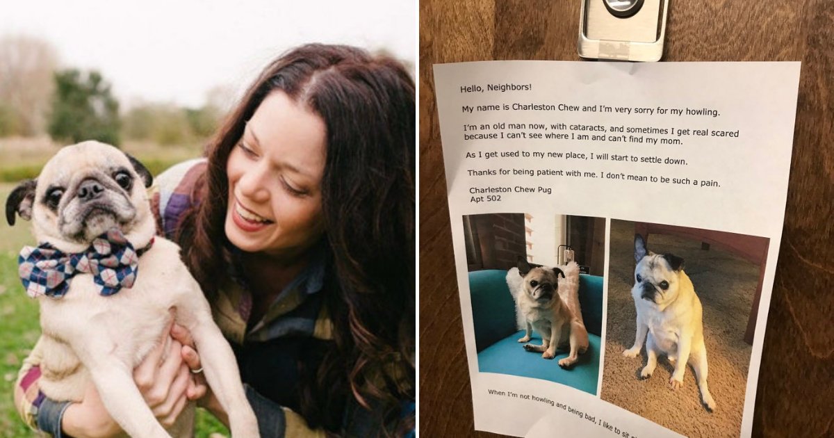 untitled design 23 1.png?resize=1200,630 - Le propriétaire d'un chien écrit une note touchante sur sa porte pour s'excuser des hurlements de son chien
