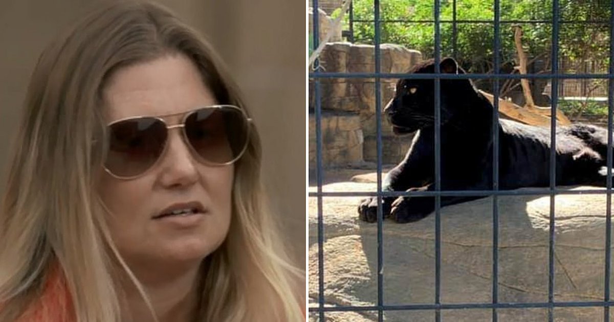 untitled design 49.png?resize=412,275 - Woman Who Got Attacked By Jaguar After Crossing Protective Barrier Blames The Zoo For The Attack
