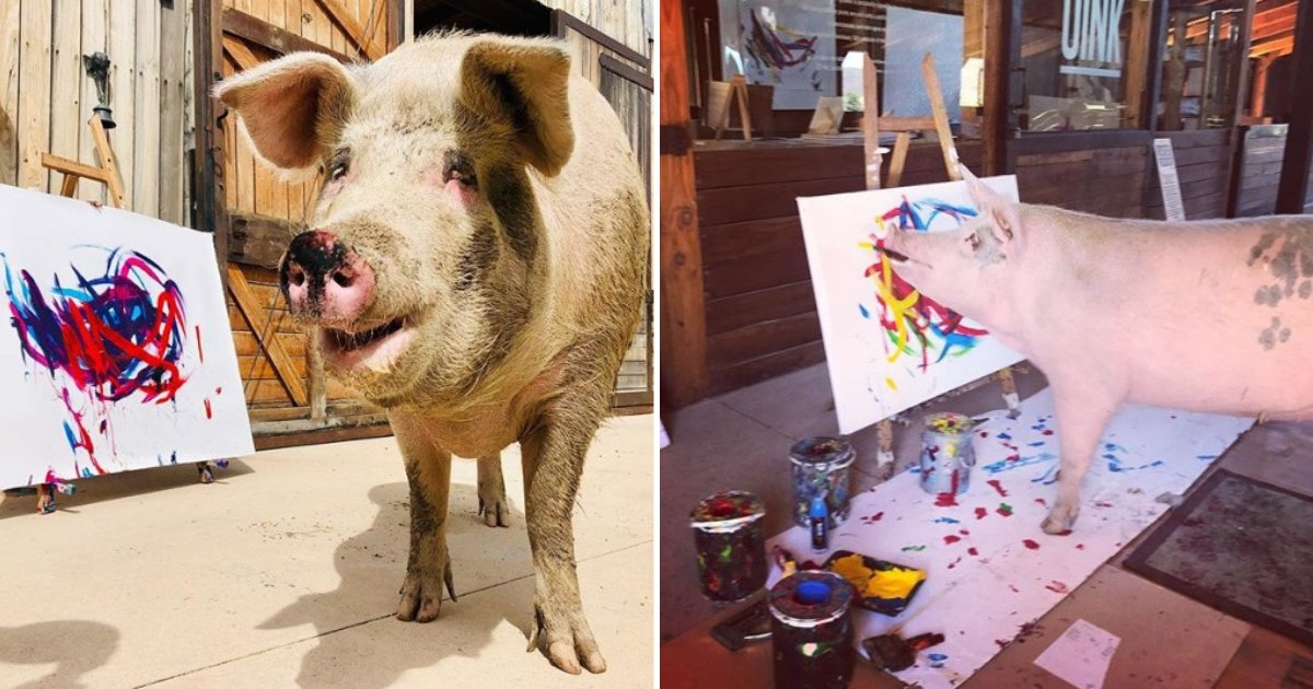 untitled design 58.png?resize=412,232 - Pigcasso The Rescue Pig Loves Painting And Her Works Already Earned Her $150,000
