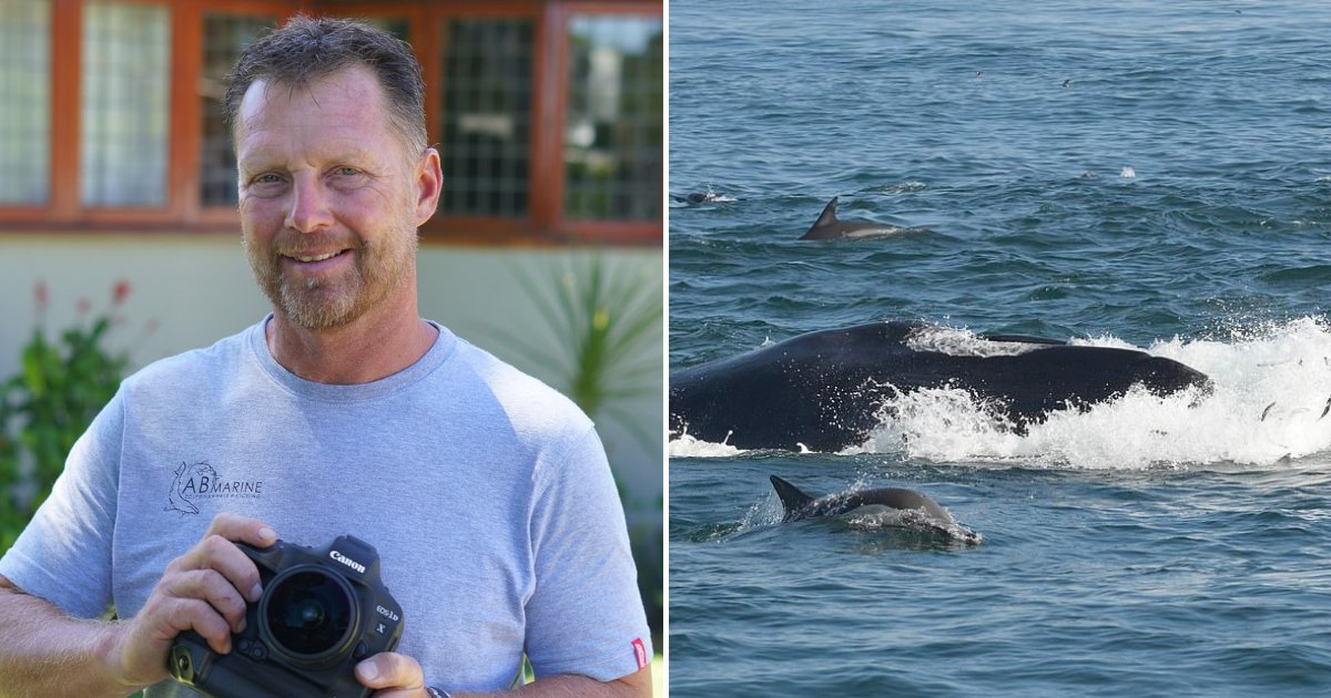 51YearOld Man Who Was Swallowed Whole By Enormous Whale Lives To Tell