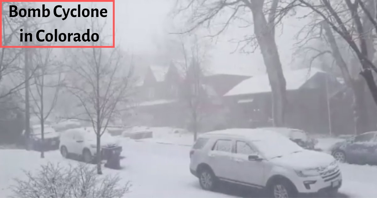 y1 10.png?resize=1200,630 - Bomb Cyclone Left Hundreds of People Restricted In Their Cars
