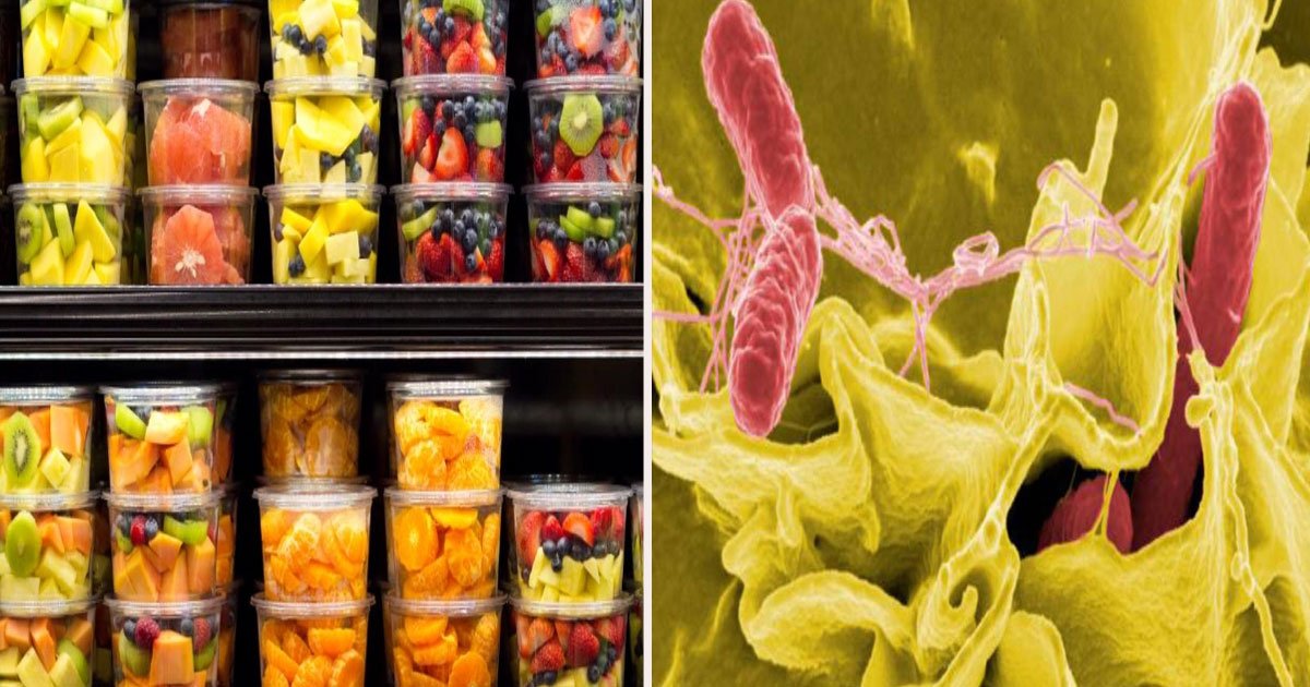 236.jpg?resize=412,275 - Salmonella Outbreak Responsible for 117 Illnesses Is Linked To Pre-Cut Fruits