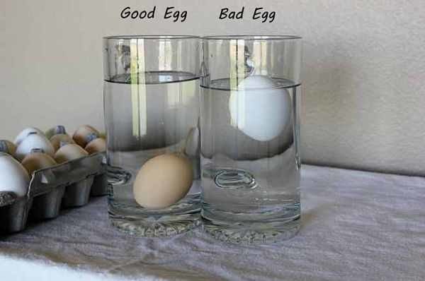 If it sinks, it&#x27;s still good to use! But if it floats, you can throw it out. From Fabulessly Frugal.