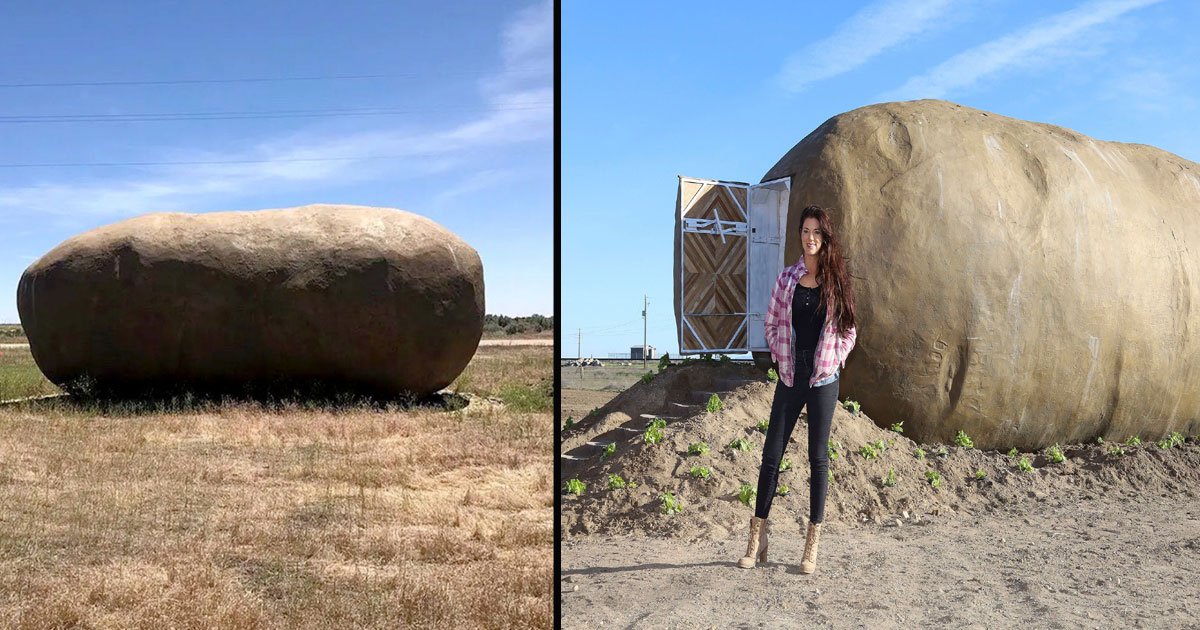 590.jpg?resize=1200,630 - A Giant Potato Airbnb In Idaho Can Be Yours For $200 A Night