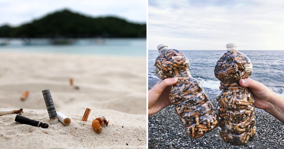 9 12.jpg?resize=1200,630 - Les habitants d'une île grecque ont nettoyé leurs plages de centaines de mégots de cigarettes - un exemple à suivre pour le monde